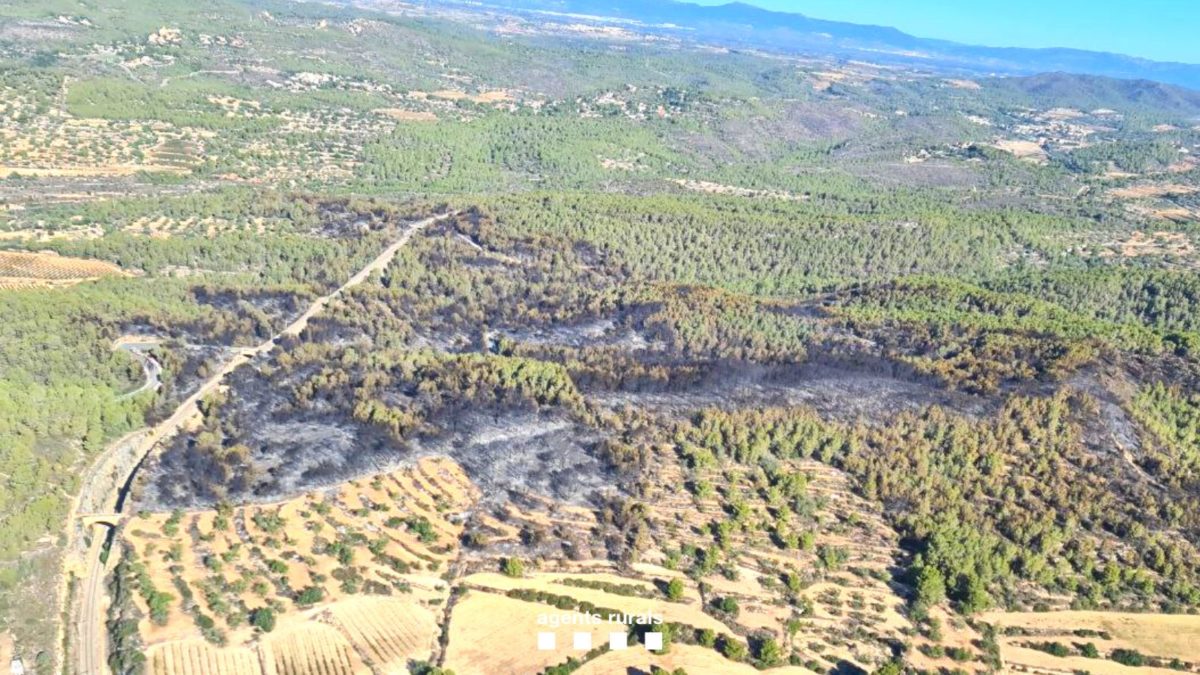 Imatge aèria de la superfície cremada en l'incendi de Vespella de Gaià i la Nou de Gaià Data de publicació: dilluns 25 de setembre del 2023, 15:38 Localització: Vespella de Gaià Autor: Cedida a l'ACN pels Agents Rurals