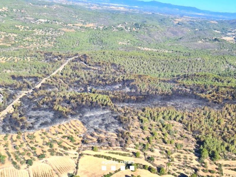 Imatge aèria de la superfície cremada en l'incendi de Vespella de Gaià i la Nou de Gaià Data de publicació: dilluns 25 de setembre del 2023, 15:38 Localització: Vespella de Gaià Autor: Cedida a l'ACN pels Agents Rurals