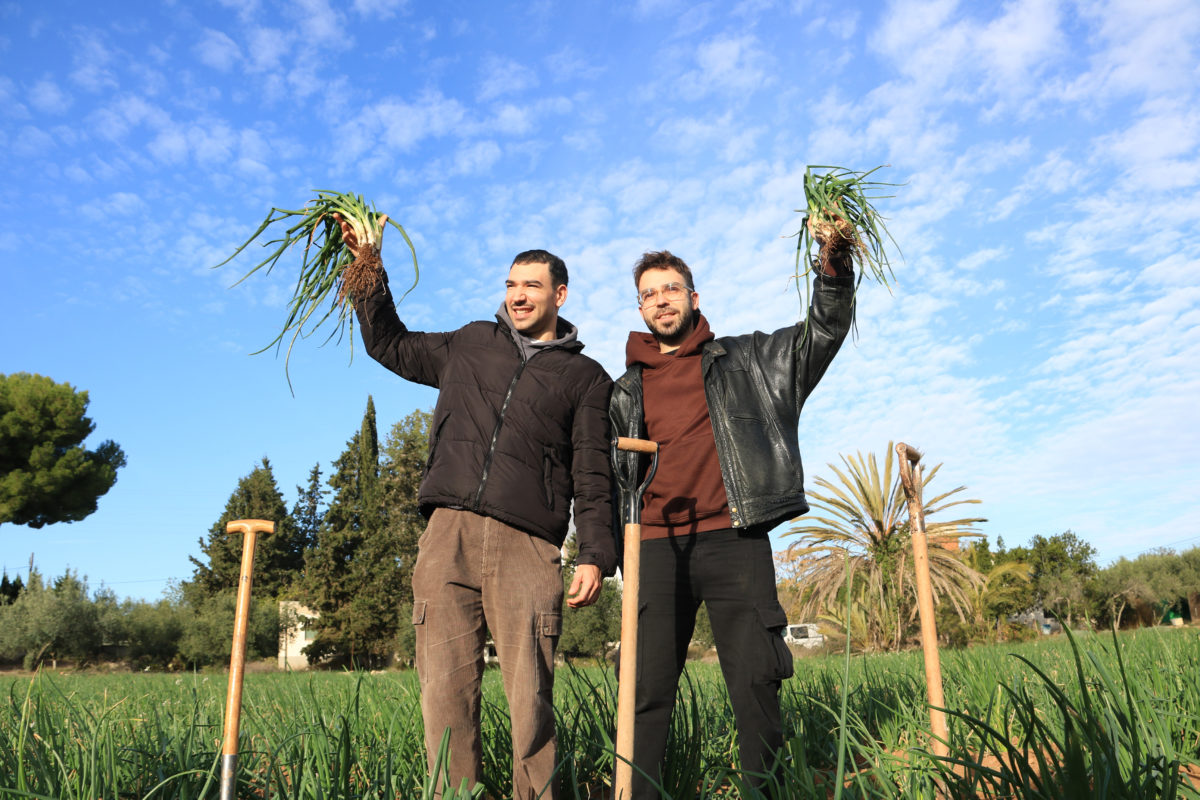 Els integrants de Figa Flawas alcen un manat de calçots després de convertir-se en Amics de l'Autèntica Calçotada 2023-2024 Data de publicació: dissabte 25 de novembre del 2023, 11:41 Localització: Valls Autor: Ariadna Escoda