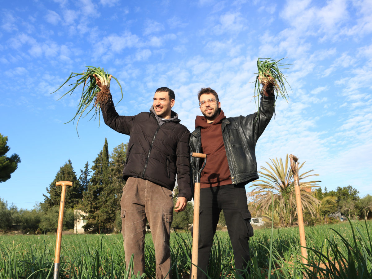 Els integrants de Figa Flawas alcen un manat de calçots després de convertir-se en Amics de l'Autèntica Calçotada 2023-2024 Data de publicació: dissabte 25 de novembre del 2023, 11:41 Localització: Valls Autor: Ariadna Escoda