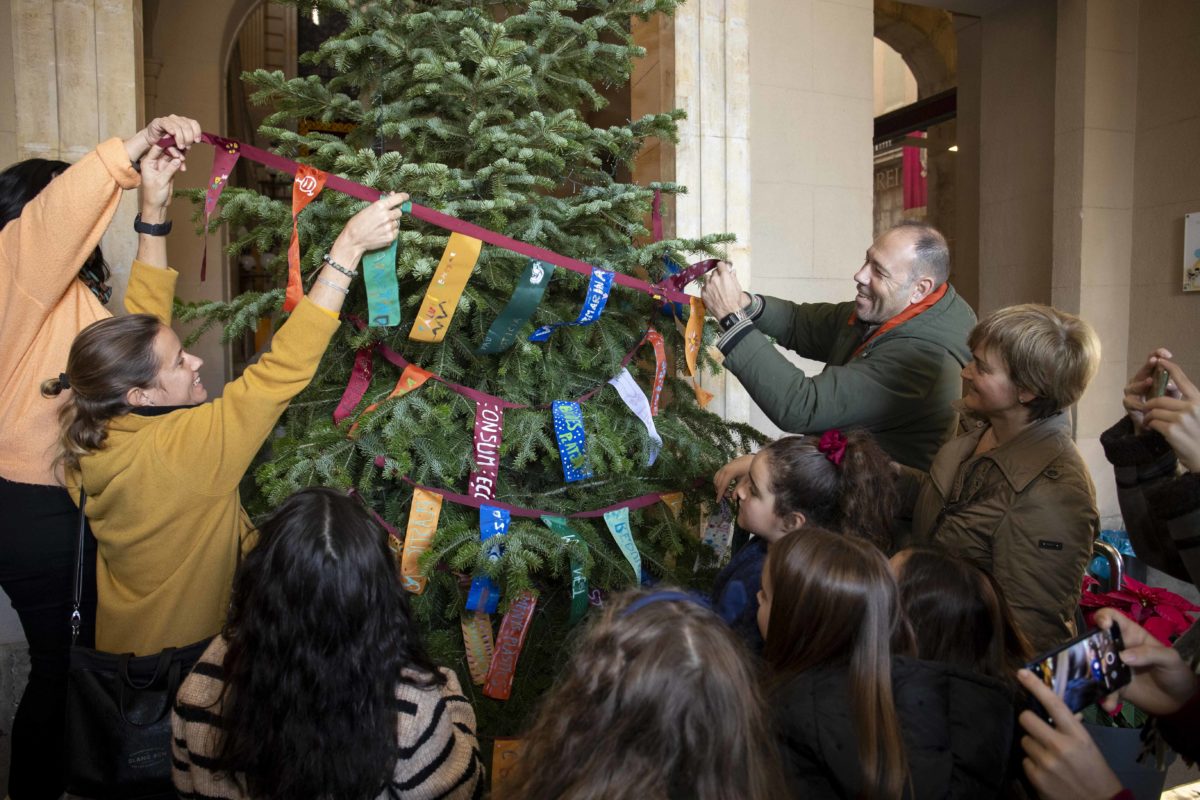 Arbre dels desitjos. Autor: Tjerk van der Meulen. 2023_12_16_01