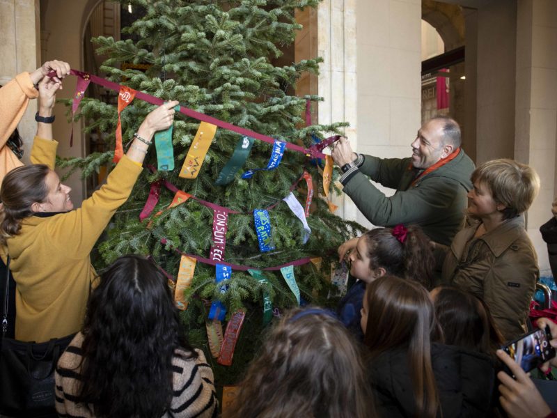 Arbre dels desitjos. Autor: Tjerk van der Meulen. 2023_12_16_01