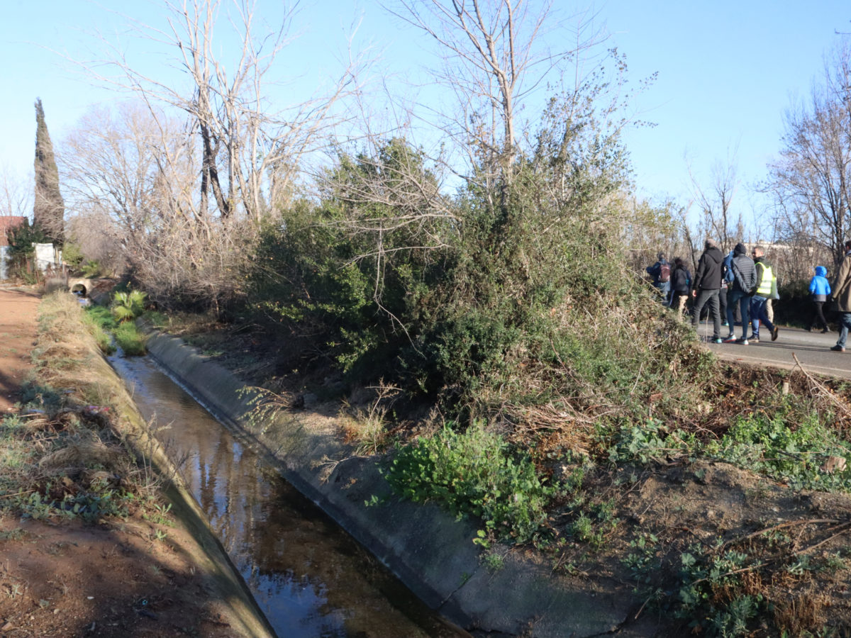 Un grup de participants camina per la zona de l'Horta Gran de Tarragona, a tocar d'un dels canals de regadiu Data de publicació: dissabte 20 de gener del 2024, 13:06 Localització: Tarragona Autor: Eloi Tost