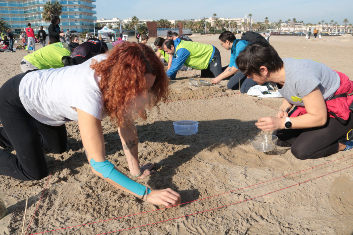 Dues dones participen a l'acció de mostreig de pèl·lets a la platja del Racó de Vila-seca Data de publicació: dissabte 27 de gener del 2024, 13:22 Localització: Vila-seca Autor: Ariadna Escoda