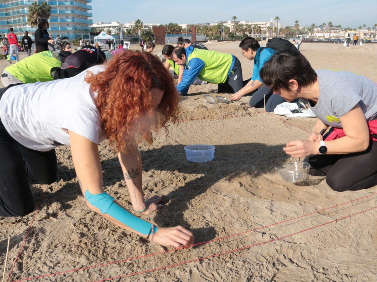 Dues dones participen a l'acció de mostreig de pèl·lets a la platja del Racó de Vila-seca Data de publicació: dissabte 27 de gener del 2024, 13:22 Localització: Vila-seca Autor: Ariadna Escoda