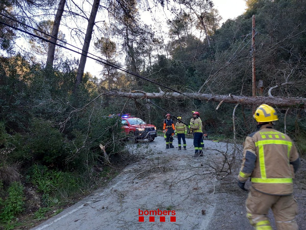 Un arbre caigut a la BV-2410 a Olesa de Bonesvalls per la forta ventada Data de publicació: diumenge 11 de febrer del 2024, 12:01 Localització: Olesa de Bonesvalls Autor: Bombers de la Generalitat