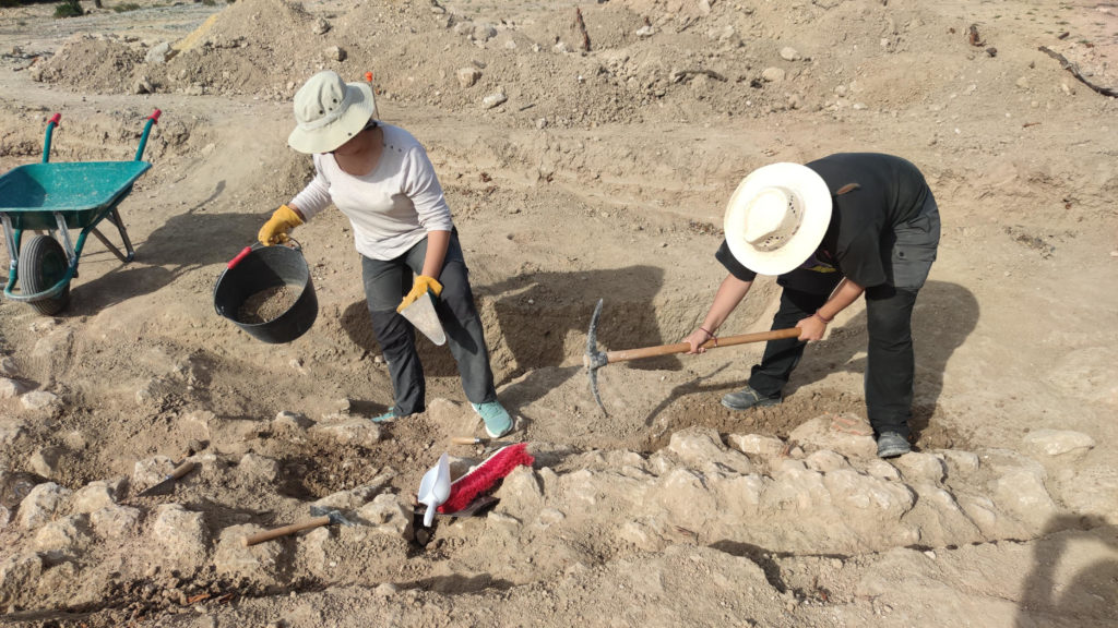 Diversos arqueòlegs treballant en l'excavació feta al jaciment de Costa de la Serra a la Secuita

Data de publicació: dijous 14 de març del 2024, 18:37

Localització: La Secuita

Autor: Redacció