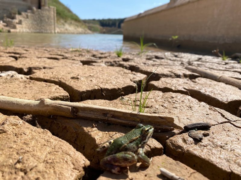 Enric Aguilar: ‘El principal problema del canvi climàtic a Tarragona, Catalunya i l’Estat és la sequera’