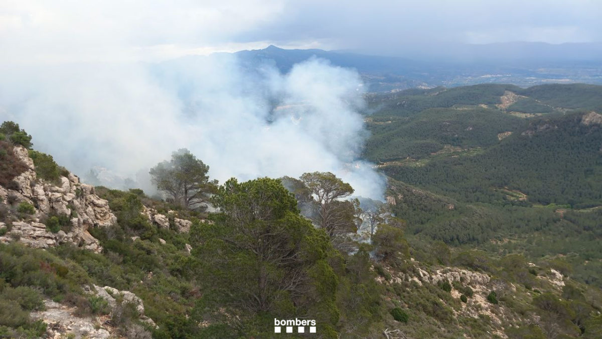 Incendi forestal a Paüls, al Baix Ebre, en una zona de difícil accés Data de publicació: diumenge 28 d’abril del 2024, 14:55 Localització: Paüls Autor: Redacció