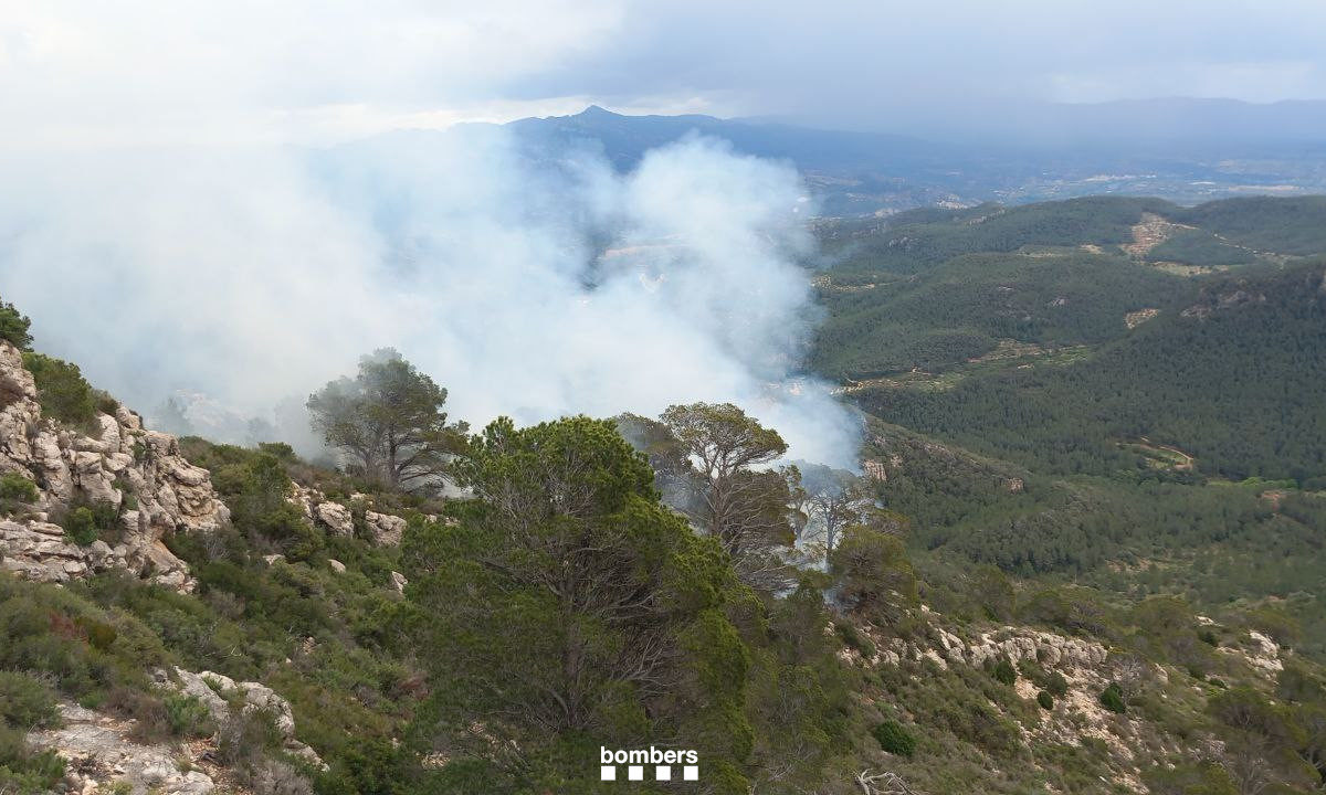 Incendi forestal a Paüls, al Baix Ebre, en una zona de difícil accés Data de publicació: diumenge 28 d’abril del 2024, 14:55 Localització: Paüls Autor: Redacció