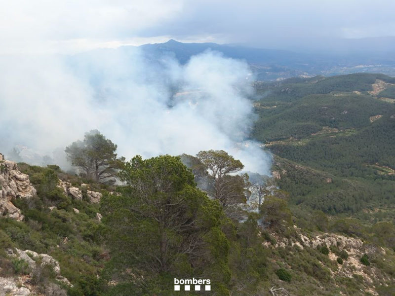 Incendi forestal a Paüls, al Baix Ebre, en una zona de difícil accés Data de publicació: diumenge 28 d’abril del 2024, 14:55 Localització: Paüls Autor: Redacció