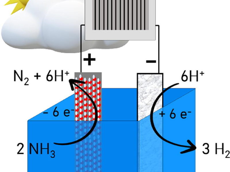 Blau de Prússia: “Nitrogen alterat: L’alternativa MELiSSA”