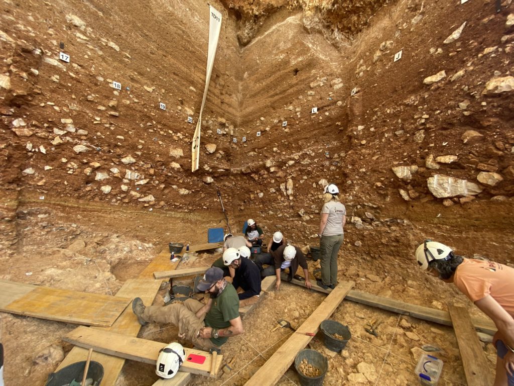 Unitat TD6 de Gran Dolina, Atapuerca