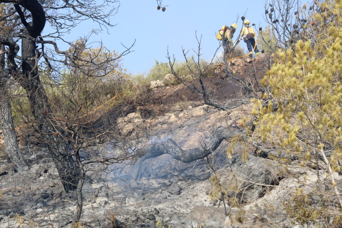 Una branca encara fumeja mentre dos bombers remullen la zona afectada per l'incendi de la Figuera Data de publicació: diumenge 28 de juliol del 2024, 19:17 Localització: La Figuera Autor: Redacció / Eloi Tost