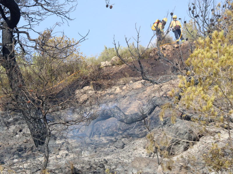 Una branca encara fumeja mentre dos bombers remullen la zona afectada per l'incendi de la Figuera Data de publicació: diumenge 28 de juliol del 2024, 19:17 Localització: La Figuera Autor: Redacció / Eloi Tost