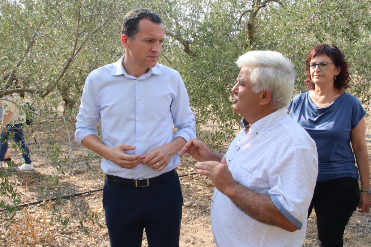 El conseller d'Agricultura, Òscar Ordeig, amb el president de la Cooperativa de Cabacés, José Antonio Robles, durant la visita a una finca d'oliveres Data de publicació: dijous 29 d’agost del 2024, 18:45 Localització: Cabacés Autor: Eloi Tost/Mar Rovira