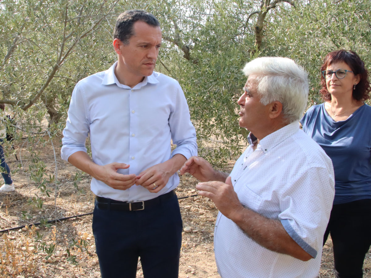 El conseller d'Agricultura, Òscar Ordeig, amb el president de la Cooperativa de Cabacés, José Antonio Robles, durant la visita a una finca d'oliveres Data de publicació: dijous 29 d’agost del 2024, 18:45 Localització: Cabacés Autor: Eloi Tost/Mar Rovira