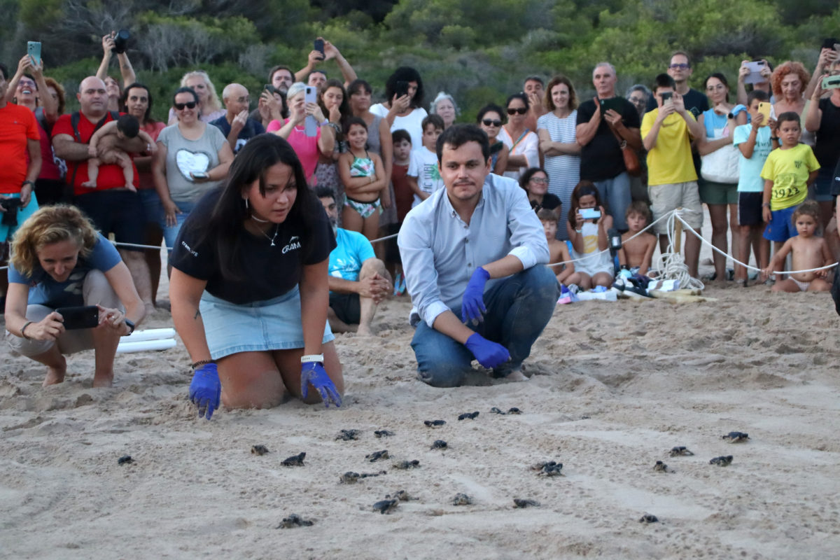 L'oceanògrafa del CRAM, Sílvia Giralt, i el conseller de Medi Ambient de Tarragona, Guillermo García, alliberen les tortugues a la platja de la Savinosa Data de publicació: dilluns 02 de setembre del 2024, 21:57 Localització: Tarragona Autor: Eloi Tost