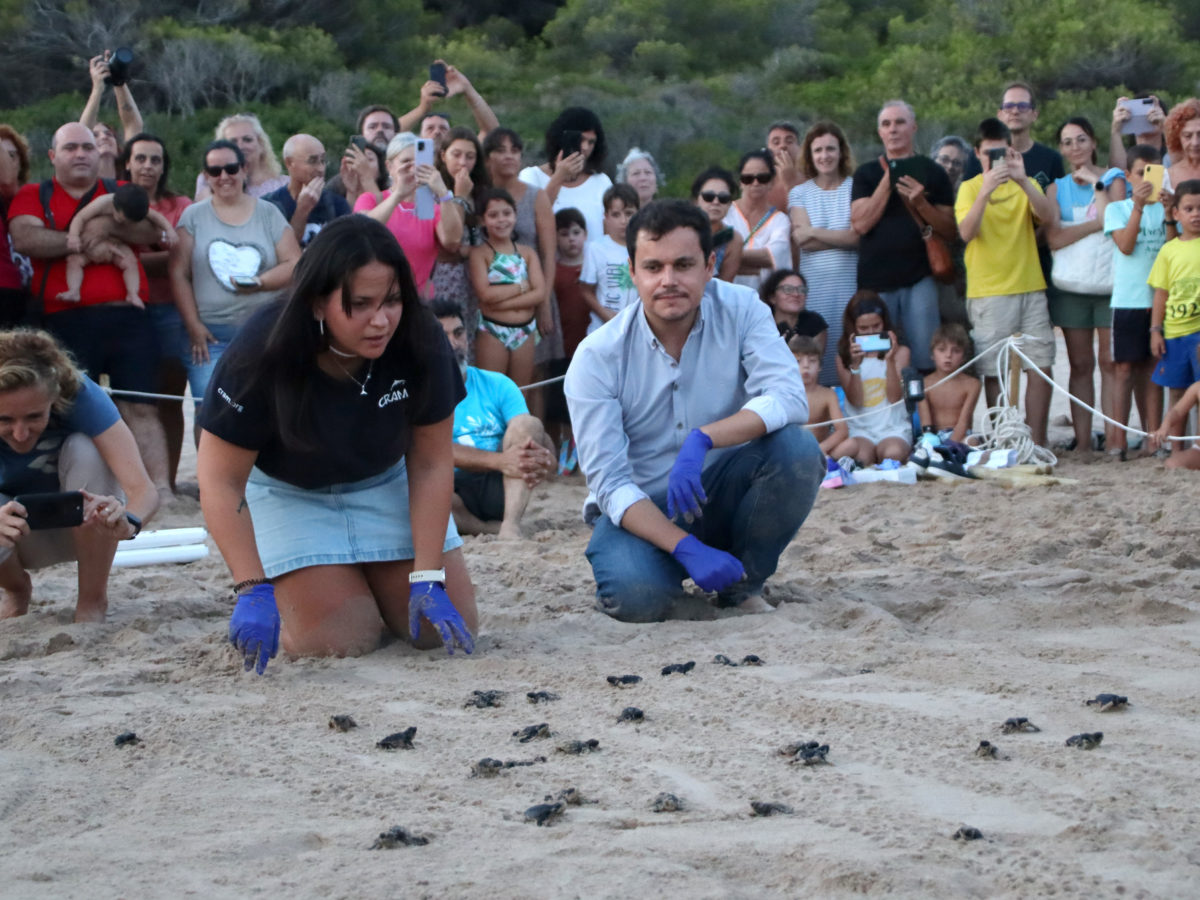 L'oceanògrafa del CRAM, Sílvia Giralt, i el conseller de Medi Ambient de Tarragona, Guillermo García, alliberen les tortugues a la platja de la Savinosa Data de publicació: dilluns 02 de setembre del 2024, 21:57 Localització: Tarragona Autor: Eloi Tost