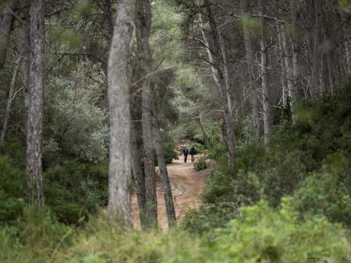 Un ‘pacte ciutadà’ per situar Tarragona com a destinació referent en turisme sostenible