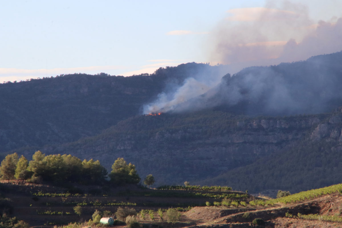 Imatge d'una part de l'incendi de Cabacés, des de Gratallops Data de publicació: dijous 12 de setembre del 2024, 19:24 Localització: Cabacés Autor: Redacció