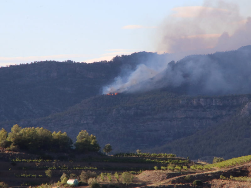 Imatge d'una part de l'incendi de Cabacés, des de Gratallops Data de publicació: dijous 12 de setembre del 2024, 19:24 Localització: Cabacés Autor: Redacció