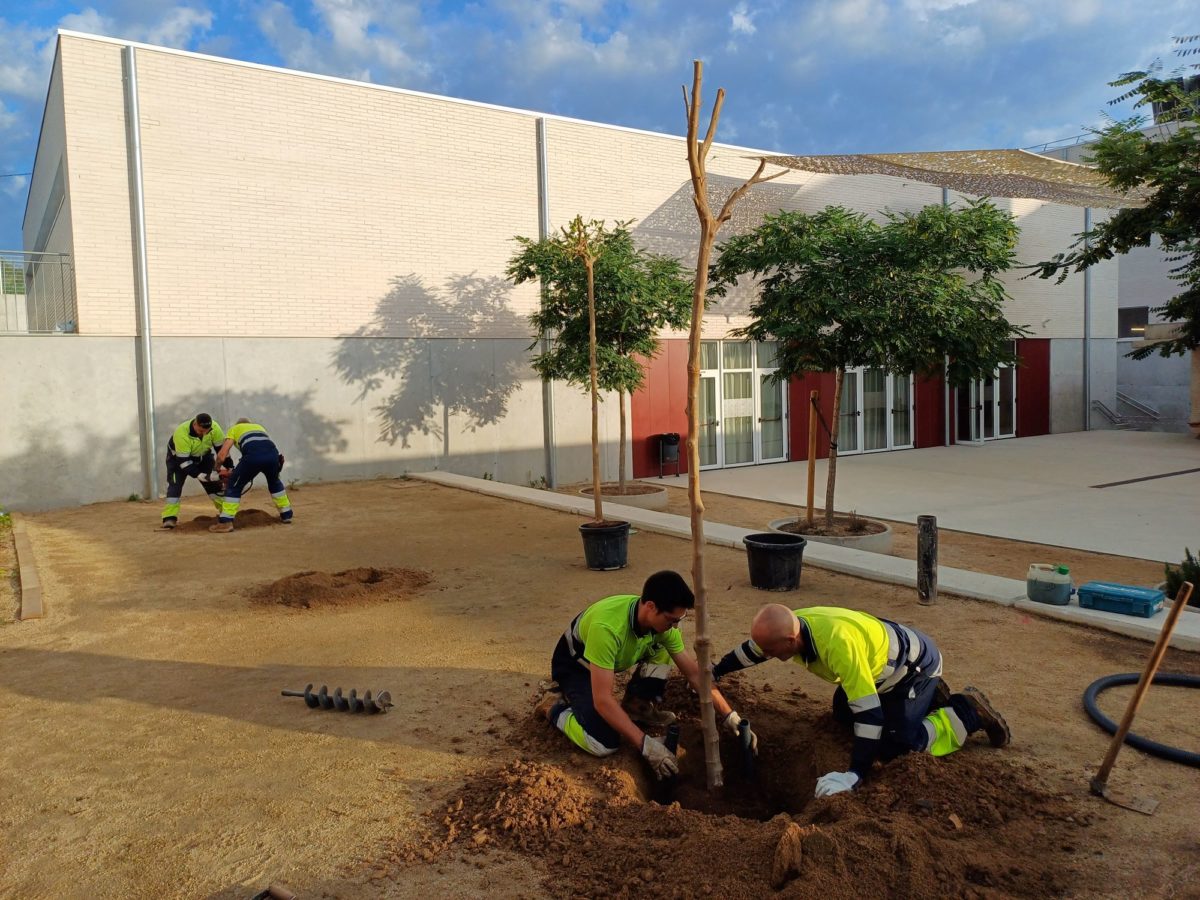 Manteniment Brigada Municipal. Fotos d'arxiu (del Departament de Parcs i Jardins i de Isaies Mena)