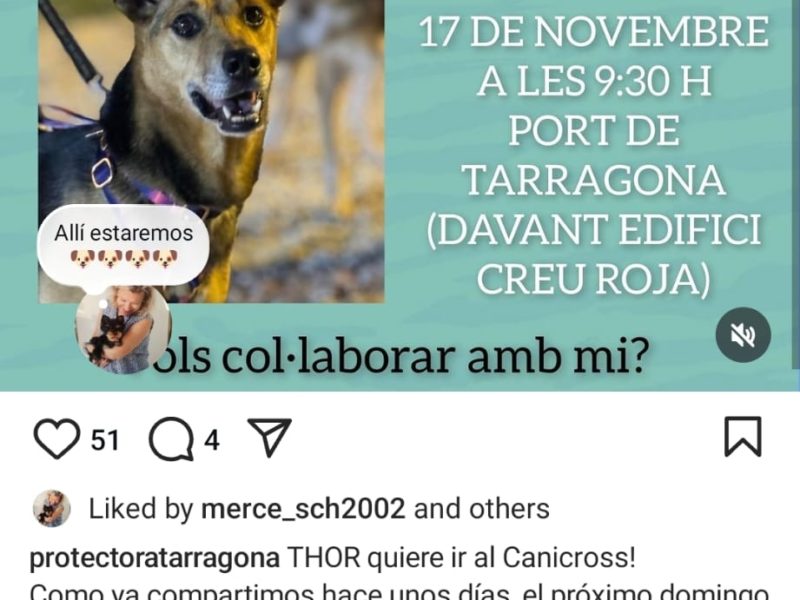 Tarragona acull la sisena edició del Canicròs solidari en suport de la Protectora d’Animals