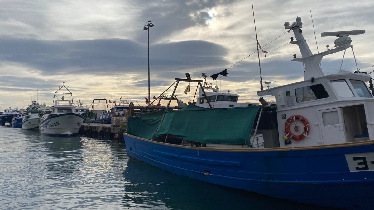 Barques arrossegament Tarragona. Pescadors