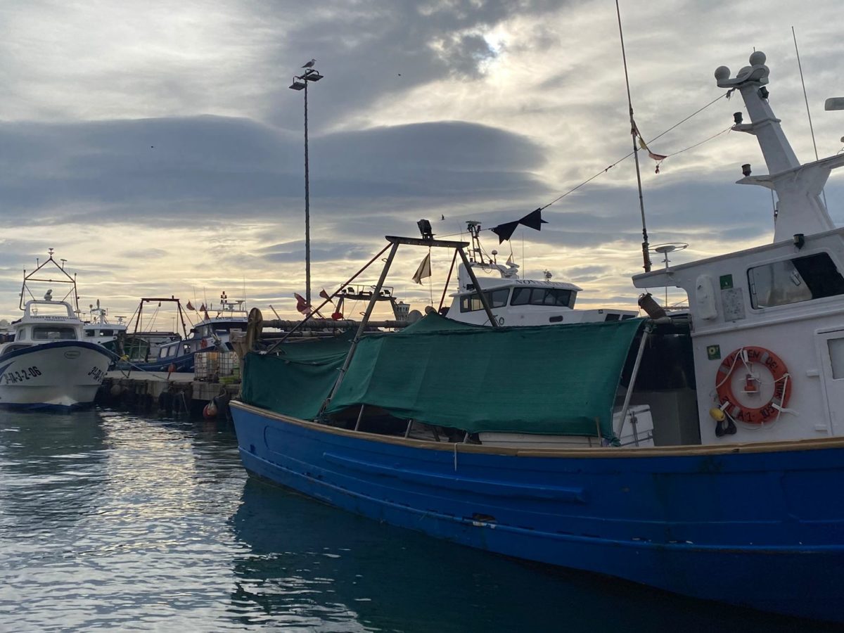 Barques arrossegament Tarragona. Pescadors